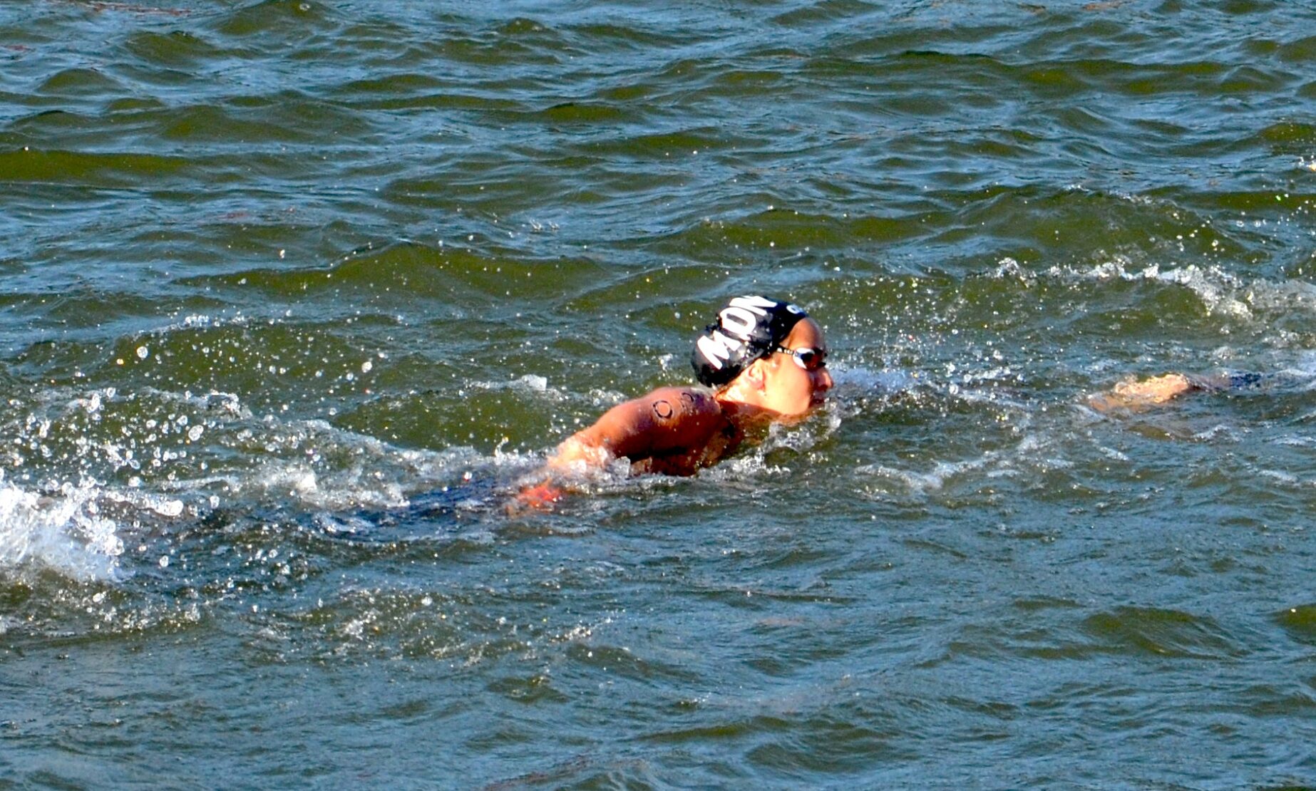 Lisa Pou en action dans la Seine pour le 10 km de natation marathon des Jeux olympiques de Paris 2024.